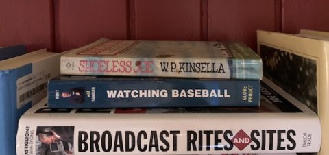 Baseball-themed books on a shelf